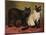 Manx and Siamese Cats-W. Luker-Mounted Photographic Print