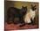 Manx and Siamese Cats-W. Luker-Stretched Canvas