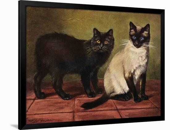 Manx and Siamese Cats-W. Luker-Framed Photographic Print