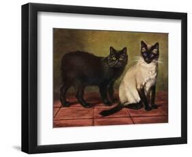 Manx and Siamese Cats-W. Luker-Framed Photographic Print