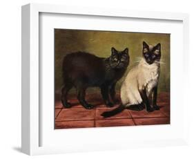 Manx and Siamese Cats-W. Luker-Framed Photographic Print