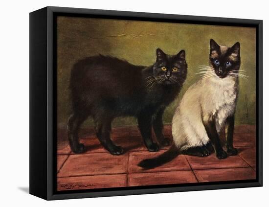 Manx and Siamese Cats-W. Luker-Framed Stretched Canvas
