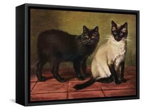 Manx and Siamese Cats-W. Luker-Framed Stretched Canvas