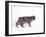 Manx Cat Blue Cymric-null-Framed Photographic Print