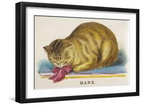 Manx Cat-null-Framed Art Print