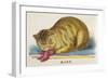 Manx Cat-null-Framed Art Print