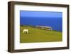 Manx Electric Railway, Isle of Man, Europe-Neil Farrin-Framed Photographic Print