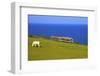 Manx Electric Railway, Isle of Man, Europe-Neil Farrin-Framed Photographic Print