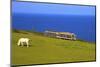 Manx Electric Railway, Isle of Man, Europe-Neil Farrin-Mounted Photographic Print