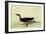 Manx Shearwater-John James Audubon-Framed Giclee Print
