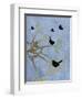 Many Birds on Branches-Bee Sturgis-Framed Art Print