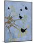 Many Birds on Branches-Bee Sturgis-Mounted Art Print