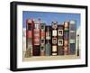 Many Books with Windows Doors Lamps in a External Background with Blue Light Sky-Valentina Photos-Framed Art Print