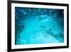 Many Bubbles in Water Close Up, Abstract Water Wave with Bubbles-Andrey Armyagov-Framed Photographic Print