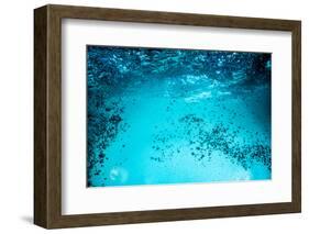 Many Bubbles in Water Close Up, Abstract Water Wave with Bubbles-Andrey Armyagov-Framed Photographic Print