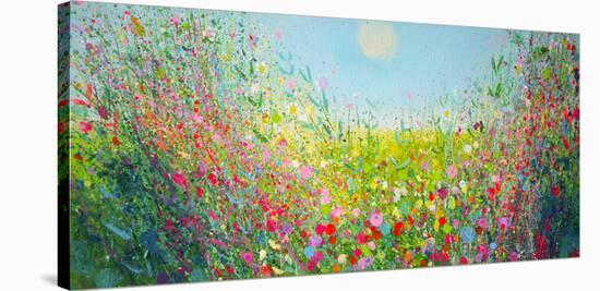 Many Coloured Landscape-Sandy Dooley-Stretched Canvas