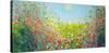 Many Coloured Landscape-Sandy Dooley-Stretched Canvas