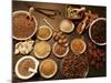 Many Different Spices-null-Mounted Photographic Print