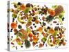 Many Different Types of Fruit Against White Background-Karl Newedel-Stretched Canvas