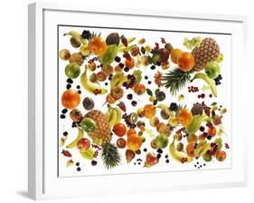 Many Different Types of Fruit Against White Background-Karl Newedel-Framed Photographic Print