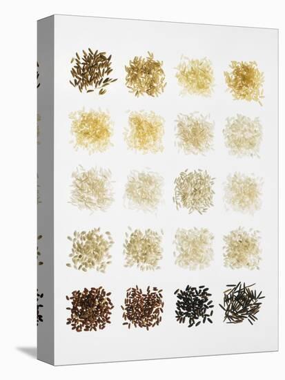 Many Different Types of Rice Laid Out in Small Squares-Bodo A^ Schieren-Stretched Canvas