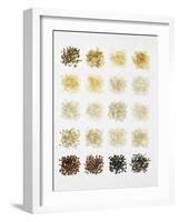 Many Different Types of Rice Laid Out in Small Squares-Bodo A^ Schieren-Framed Photographic Print