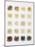 Many Different Types of Rice Laid Out in Small Squares-Bodo A^ Schieren-Mounted Photographic Print