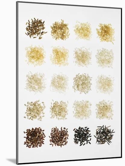 Many Different Types of Rice Laid Out in Small Squares-Bodo A^ Schieren-Mounted Photographic Print