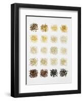 Many Different Types of Rice Laid Out in Small Squares-Bodo A^ Schieren-Framed Photographic Print