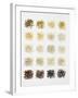 Many Different Types of Rice Laid Out in Small Squares-Bodo A^ Schieren-Framed Photographic Print