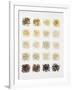 Many Different Types of Rice Laid Out in Small Squares-Bodo A^ Schieren-Framed Photographic Print