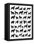 Many Dog Breeds in Silhouettes-photosoup-Framed Stretched Canvas