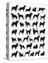 Many Dog Breeds in Silhouettes-photosoup-Stretched Canvas