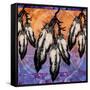 Many Feathers-Bee Sturgis-Framed Stretched Canvas