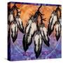 Many Feathers-Bee Sturgis-Stretched Canvas