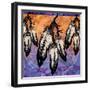 Many Feathers-Bee Sturgis-Framed Art Print