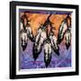 Many Feathers-Bee Sturgis-Framed Art Print