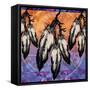 Many Feathers-Bee Sturgis-Framed Stretched Canvas