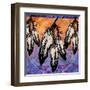 Many Feathers-Bee Sturgis-Framed Art Print