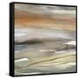 Many Layers I-Carol Robinson-Framed Stretched Canvas