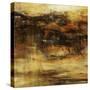 Many Mesas-Jodi Maas-Stretched Canvas