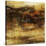 Many Mesas-Jodi Maas-Stretched Canvas