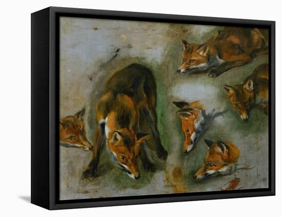 Many of Boels sketches were used in the tapestries woven in Les Gobelins. A fox-Pieter Boel-Framed Stretched Canvas