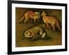 Many of Boels sketches were used in the tapestries woven in Les Gobelins. A fox-Pieter Boel-Framed Giclee Print