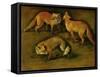 Many of Boels sketches were used in the tapestries woven in Les Gobelins. A fox-Pieter Boel-Framed Stretched Canvas