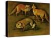 Many of Boels sketches were used in the tapestries woven in Les Gobelins. A fox-Pieter Boel-Stretched Canvas