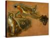 Many of Boels sketches were used in the tapestries woven in Les Gobelins. A lynx; head of a wolf.-Pieter Boel-Stretched Canvas