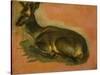 Many of Boels sketches were used in the tapestries woven in Les Gobelins. Stag, lying down.-Pieter Boel-Stretched Canvas