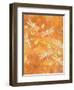 Many Soaring Dragonflies-Bee Sturgis-Framed Art Print