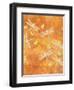 Many Soaring Dragonflies-Bee Sturgis-Framed Art Print